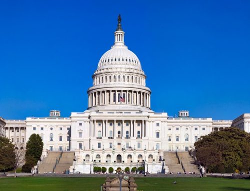 USPTOは制裁を続けており、商標所有者は嵐の中でどのように自分の権益を保護し、コンプライアンスを進めているのか？